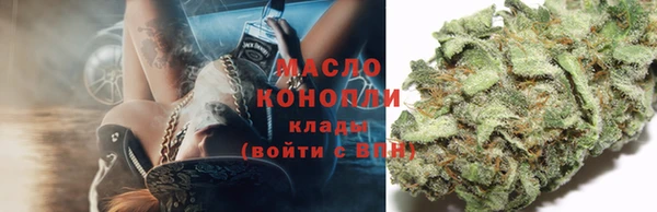 мдпв Фёдоровский