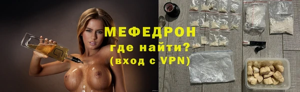 гидра Нестеровская