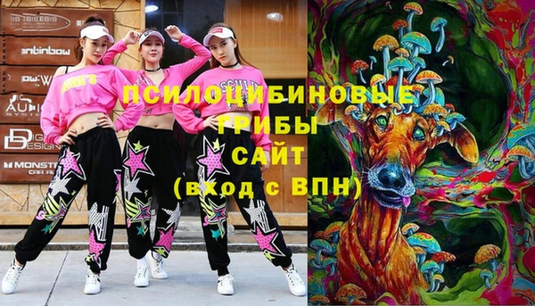 дмт Карпинск