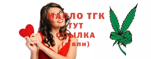 гидра Нестеровская