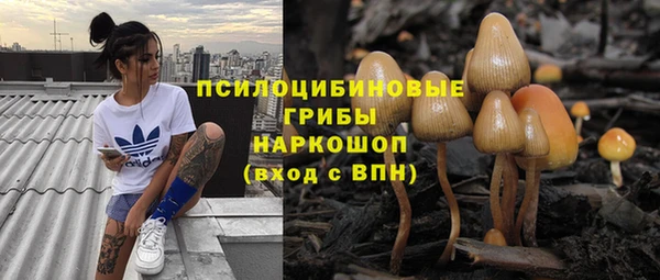 дмт Карпинск