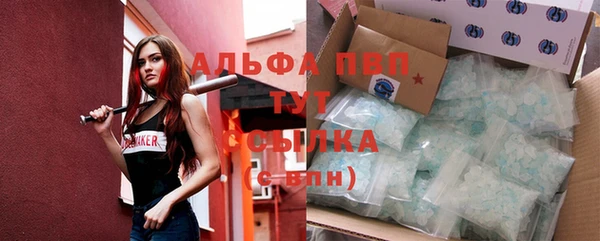 дмт Карпинск