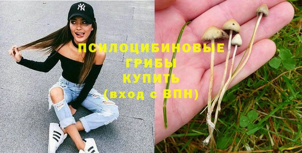 mix Киренск