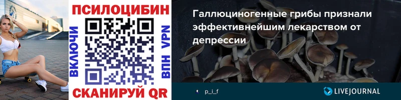 Галлюциногенные грибы Psilocybe  Коммунар 