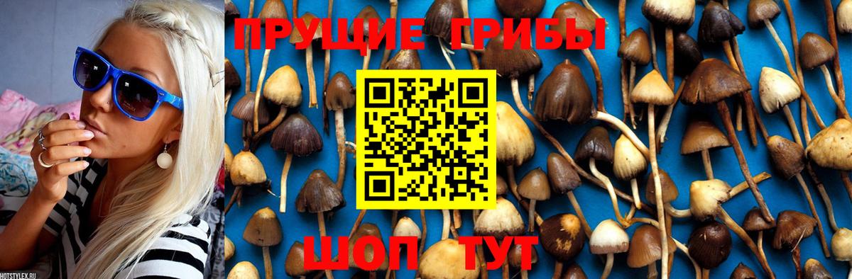 Псилоцибиновые грибы Psilocybine cubensis  Вход с VPN  купить наркоту  Коммунар  Галлюциногенные грибы прущие грибы 