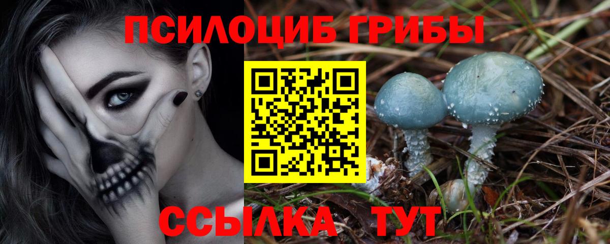 Галлюциногенные грибы мухоморы Коммунар